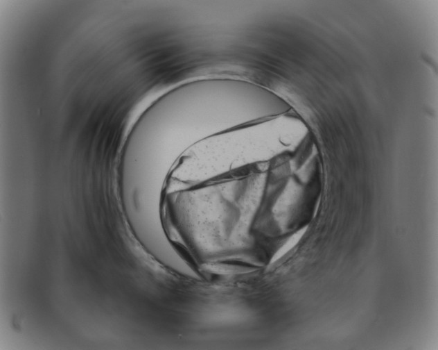 X0000091350960200708311513