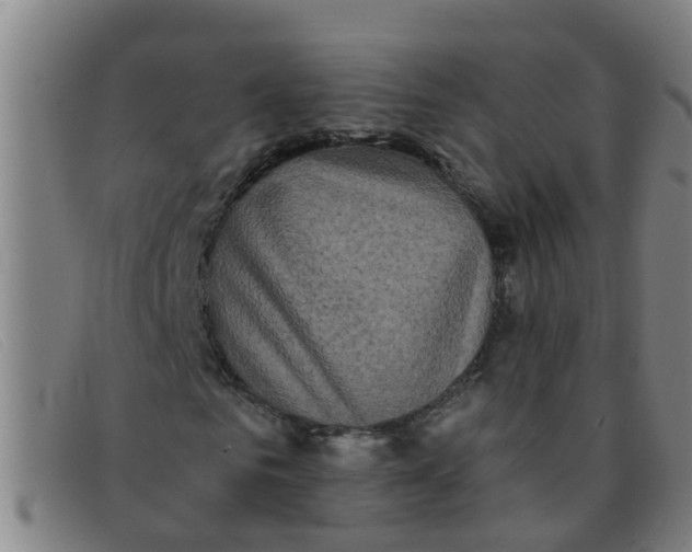 X0000091350961200708311513