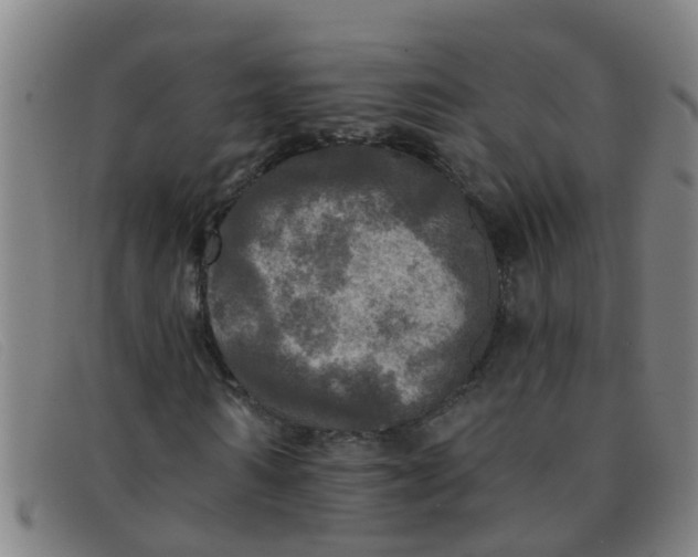 X0000091350962200708311513