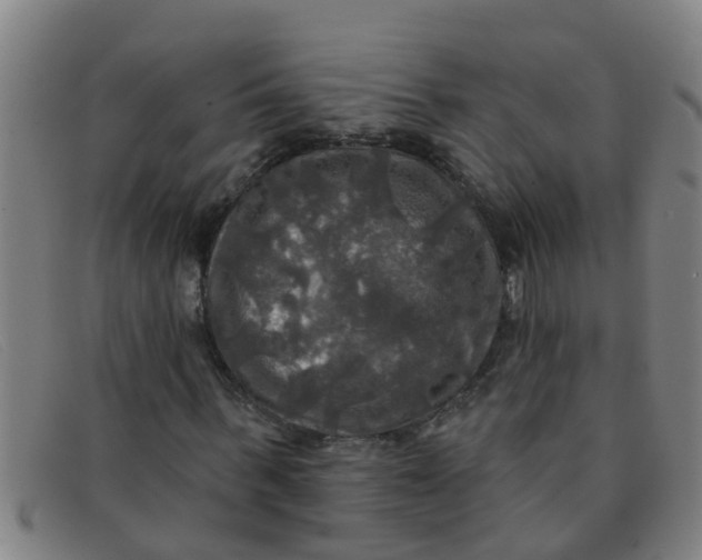 X0000091350963200708311513