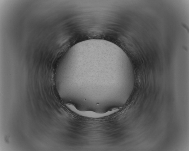 X0000091350964200708311513