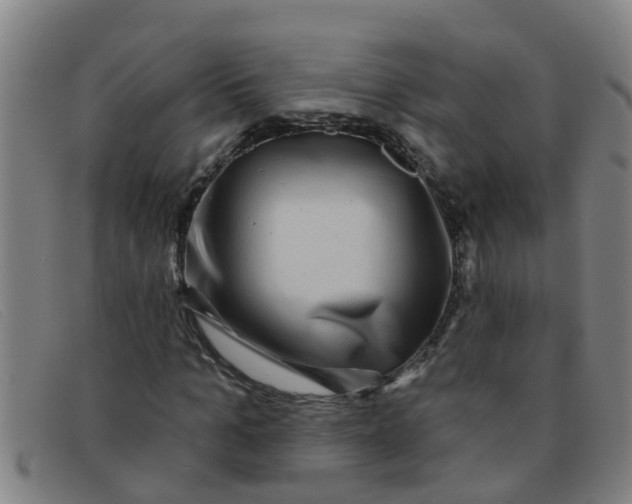 X0000091350965200708311513
