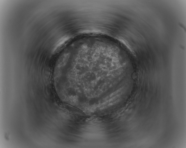 X0000091350967200708311512