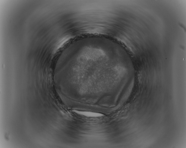 X0000091350968200708311512