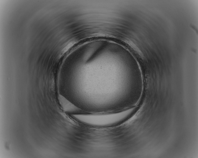 X0000091350969200708311512