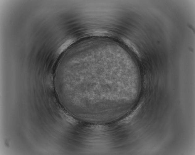 X0000091350970200708311512