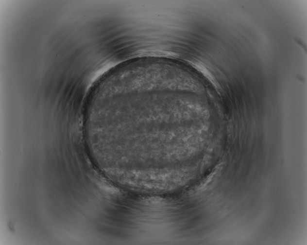 X0000091350971200708311512