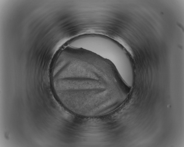 X0000091350972200708311512