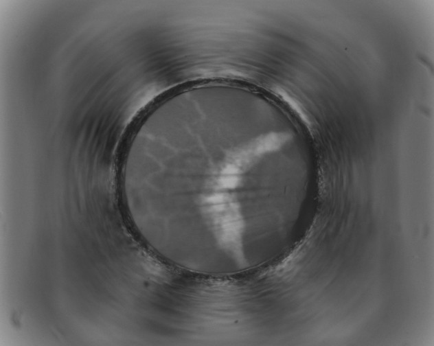 X0000091350975200708311512