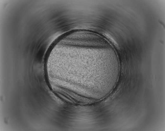 X0000091350976200708311512