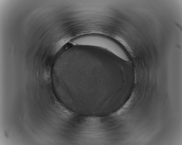 X0000091350977200708311512