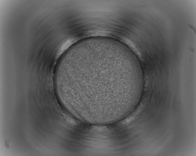 X0000091350978200708311512