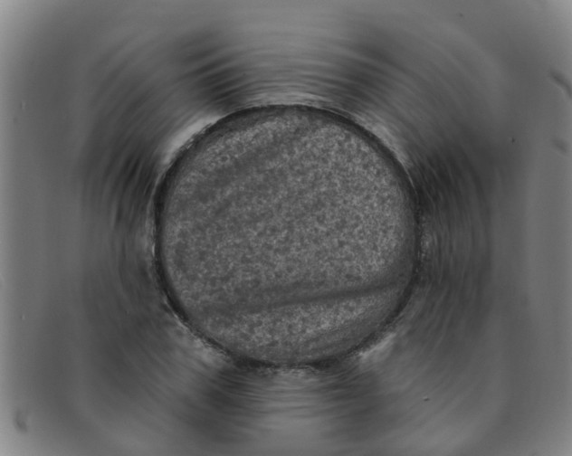 X0000091350979200708311512