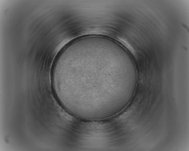 X0000091350980200708311512