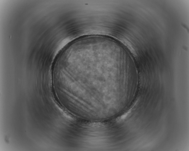 X0000091350982200708311512