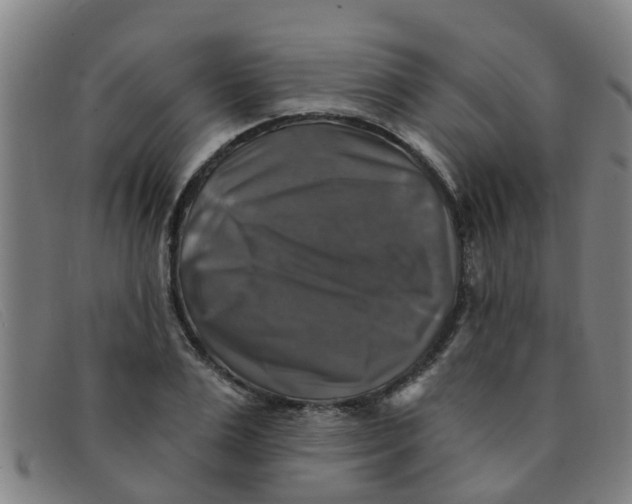 X0000091350983200708311512