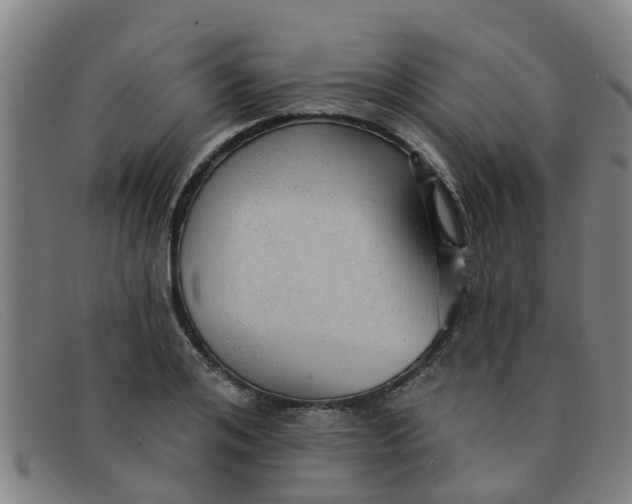 X0000091350984200708311512