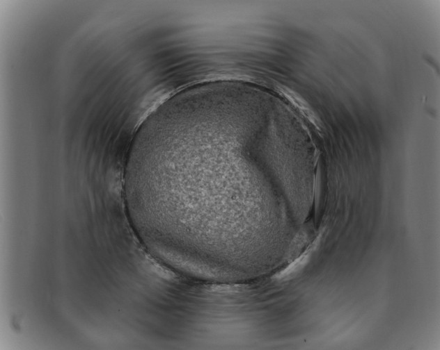 X0000091350985200708311512