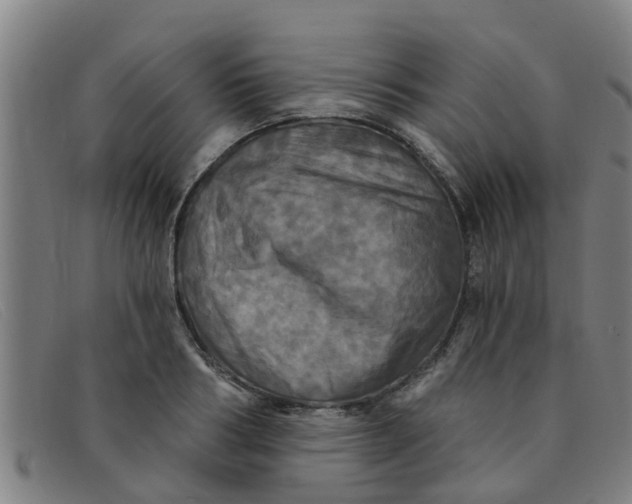 X0000091350986200708311512