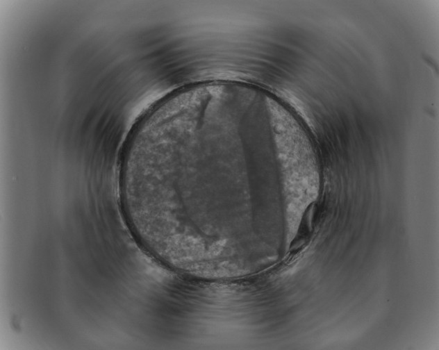 X0000091350987200708311512
