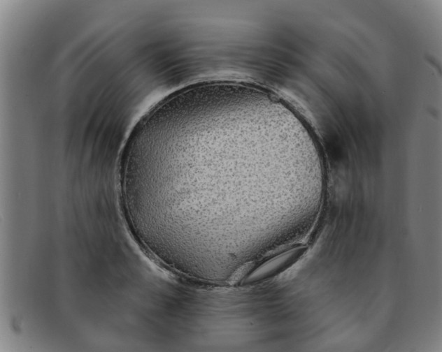 X0000091350989200708311512