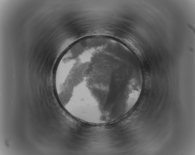 X0000091350990200708311512