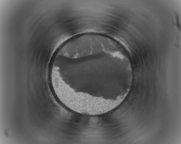 X0000091350991200708311512