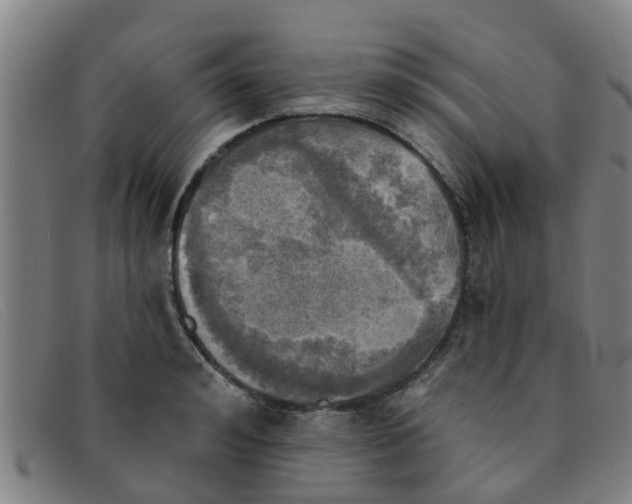 X0000091350992200708311512