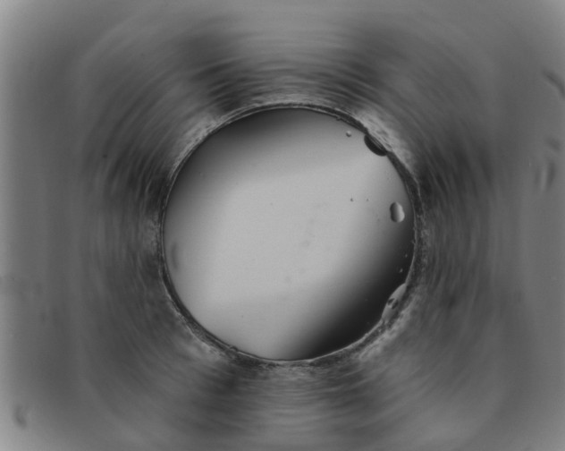 X0000091350993200708311512