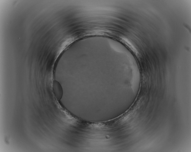 X0000091350994200708311512