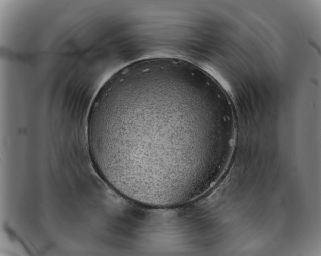 X0000091350996200708311512