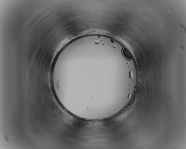 X0000091350997200708311512