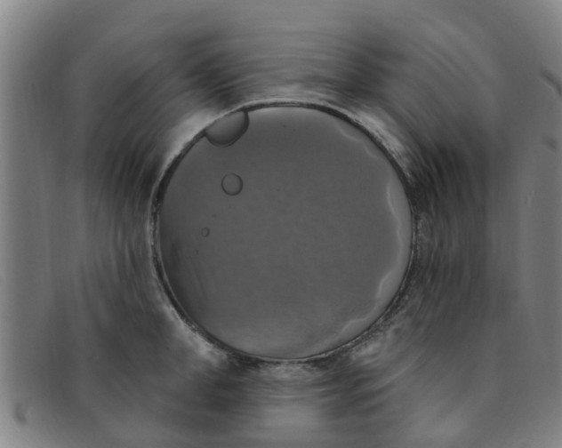 X0000091350998200708311512