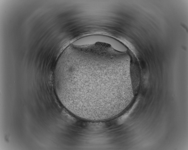 X0000091351001200708311512