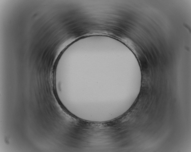 X0000091351003200708311512