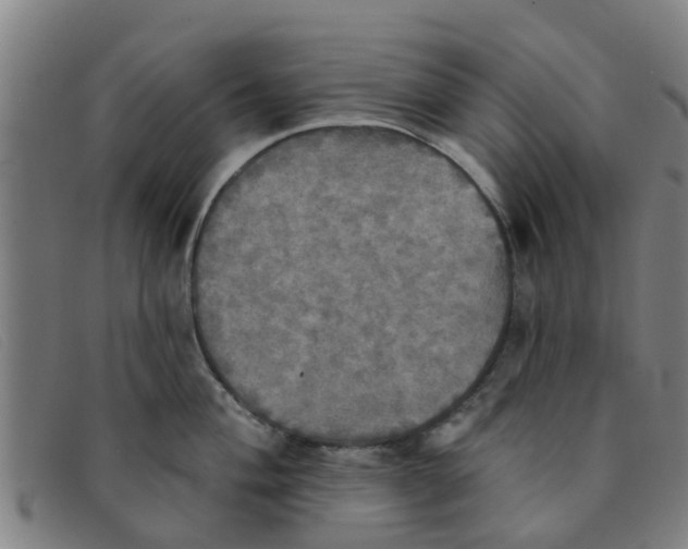 X0000091351004200708311512