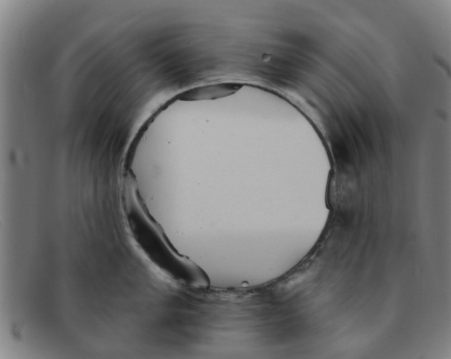 X0000091351005200708311512
