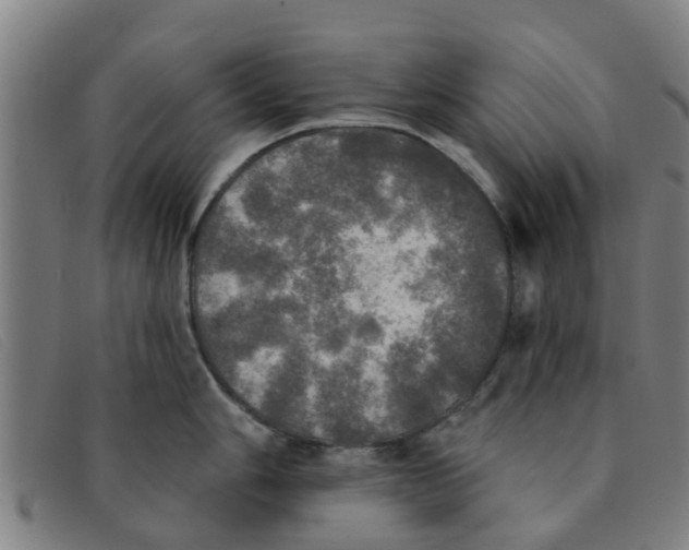 X0000091351006200708311512