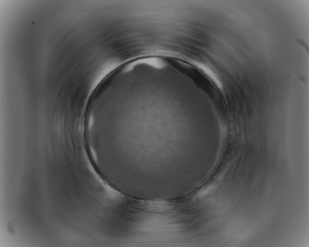 X0000091351007200708311512