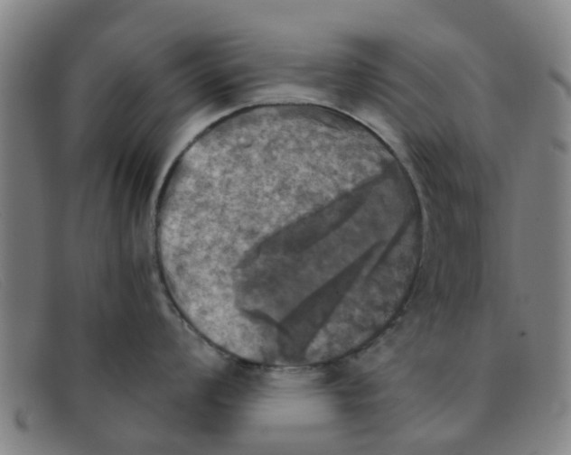 X0000091351008200708311512