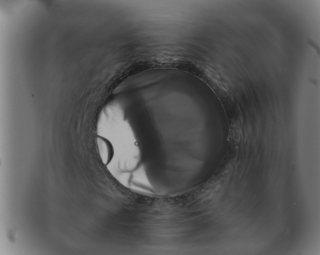 X0000091351009200708311511