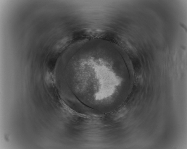 X0000091351010200708311511