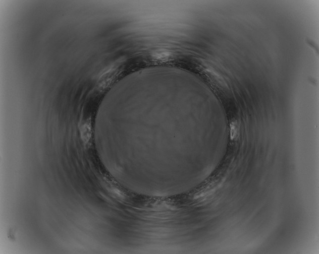 X0000091351011200708311511