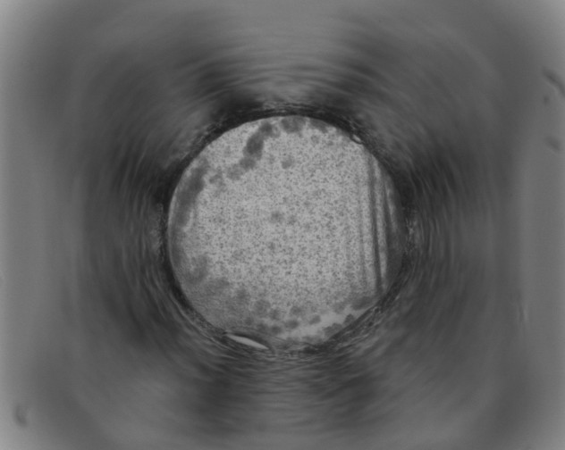 X0000091351012200708311511