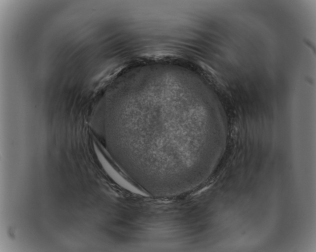 X0000091351014200708311511