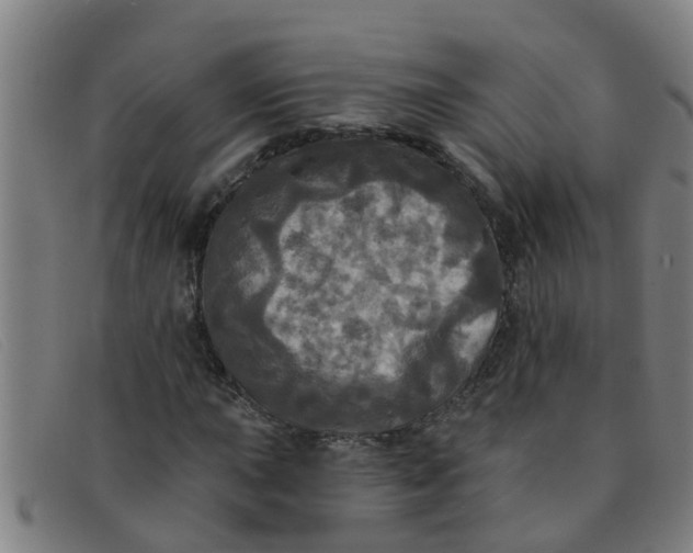 X0000091351015200708311511