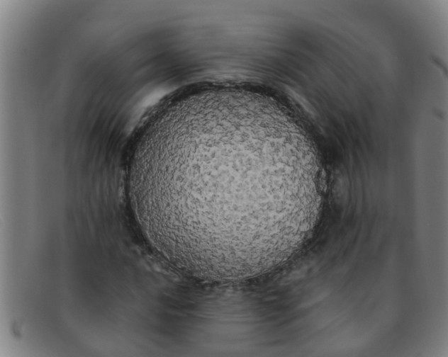X0000091351016200708311511