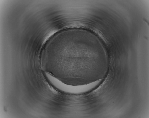 X0000091351018200708311511