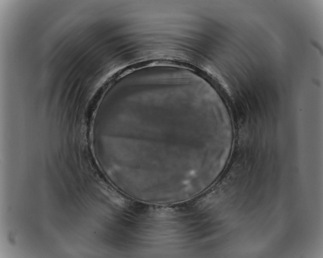 X0000091351019200708311511