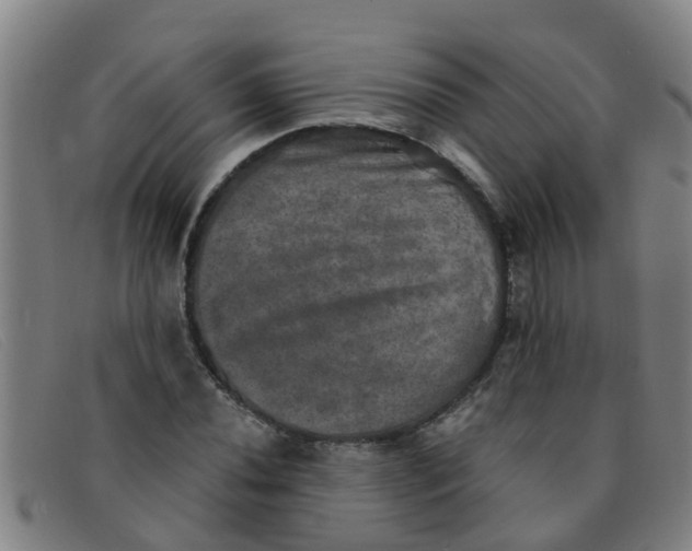 X0000091351020200708311511